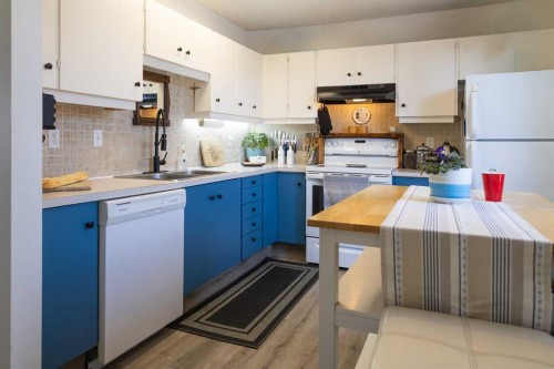 283 Abinger Crescent Ne, Calgary, AB - Indoor Photo Showing Kitchen With Double Sink