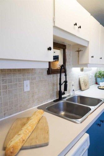 283 Abinger Crescent Ne, Calgary, AB - Indoor Photo Showing Kitchen With Double Sink