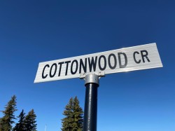 48 Cottonwood Crescent Rosemary, AB T0J 2W0