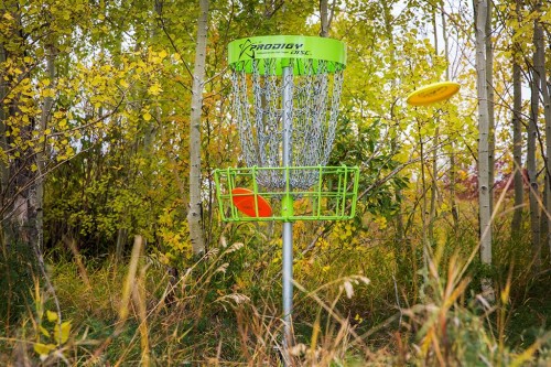 626 Iris Street, Rosemary, AB 