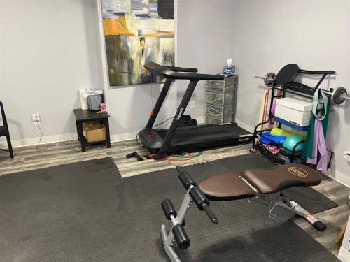 131 Bridlewood View Sw, Calgary, AB - Indoor Photo Showing Gym Room