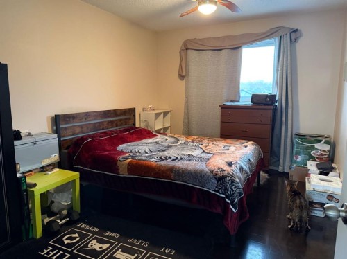 706 2 Street Se, Drumheller, AB - Indoor Photo Showing Bedroom