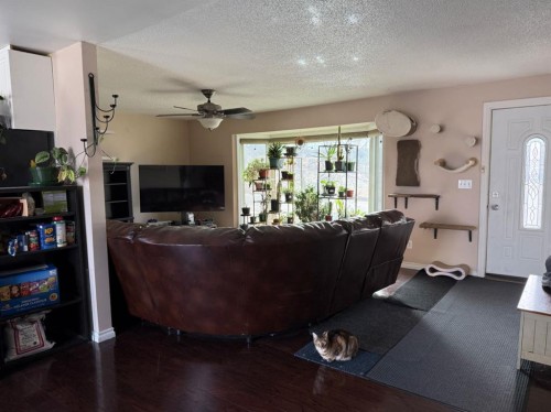 706 2 Street Se, Drumheller, AB - Indoor Photo Showing Living Room