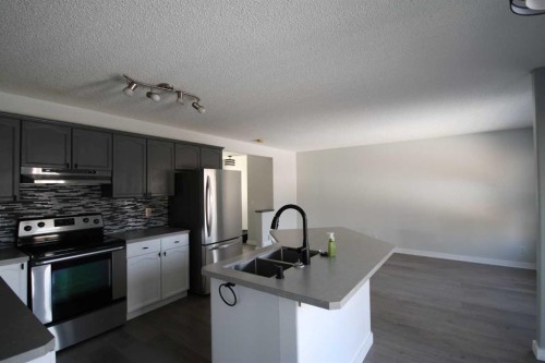 309 Bridleridge Way Sw, Calgary, AB - Indoor Photo Showing Kitchen With Stainless Steel Kitchen With Double Sink With Upgraded Kitchen