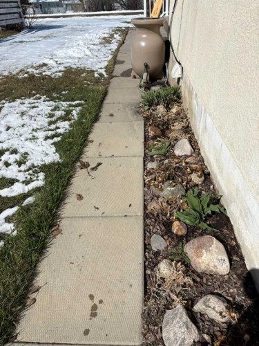 120 1 Avenue, Wimborne, AB - Outdoor