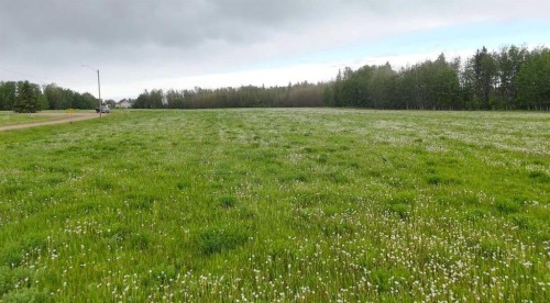 4803 Mitchell Dr, Drayton Valley, AB 