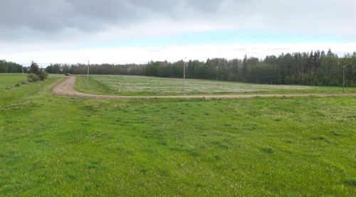 4803 Mitchell Dr, Drayton Valley, AB 