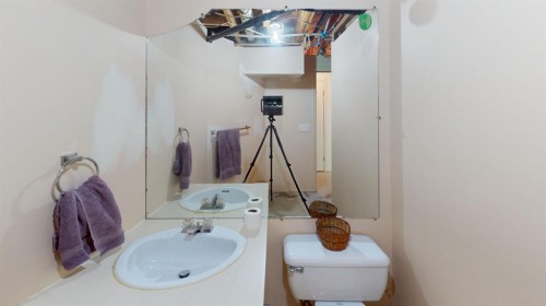 305 2 Avenue, Bassano, AB - Indoor Photo Showing Bathroom