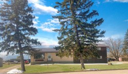 305 2 Avenue  Bassano, AB T0J 0B0