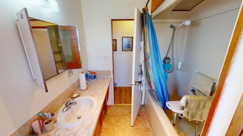 305 2 Avenue, Bassano, AB - Indoor Photo Showing Bathroom