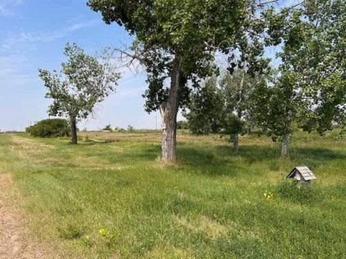 105 Railway West, Cereal, AB 