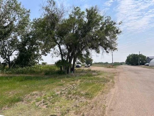 105 Railway West, Cereal, AB 