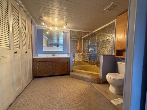 317 Hillside Avenue, Carbon, AB - Indoor Photo Showing Bathroom