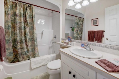 26 Willow Point, Drumheller, AB - Indoor Photo Showing Bathroom