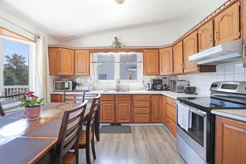 28 Upland Crescent West, Brooks, AB - Indoor Photo Showing Kitchen With Double Sink