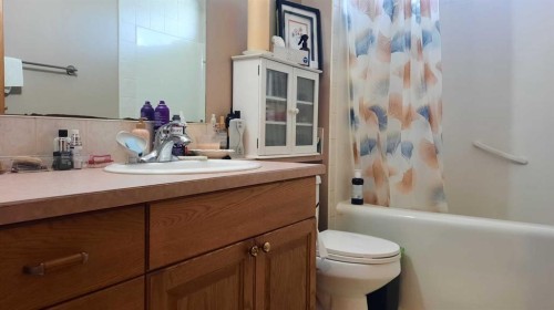 242 Mcnab Close, Drumheller, AB - Indoor Photo Showing Bathroom