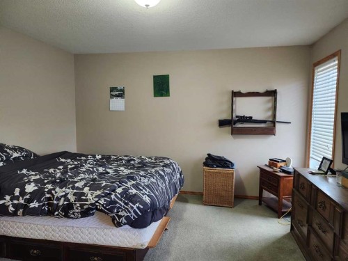 242 Mcnab Close, Drumheller, AB - Indoor Photo Showing Bedroom