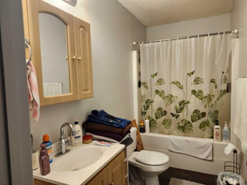 242 Mcnab Close, Drumheller, AB - Indoor Photo Showing Bathroom
