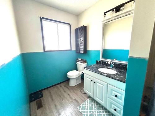161 Ingram Park Drive East, Brooks, AB - Indoor Photo Showing Bathroom