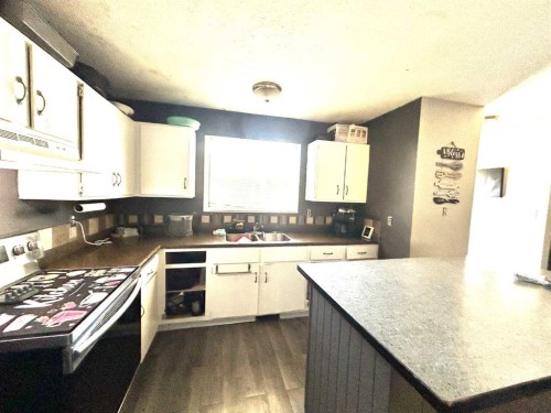 161 Ingram Park Drive East, Brooks, AB - Indoor Photo Showing Kitchen With Double Sink
