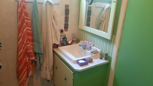 227 6 Street, Drumheller, AB - Indoor Photo Showing Bathroom