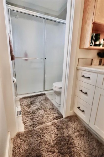 29305 Range Road 41, Oyen, AB - Indoor Photo Showing Bathroom