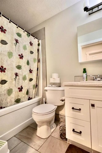29305 Range Road 41, Oyen, AB - Indoor Photo Showing Bathroom