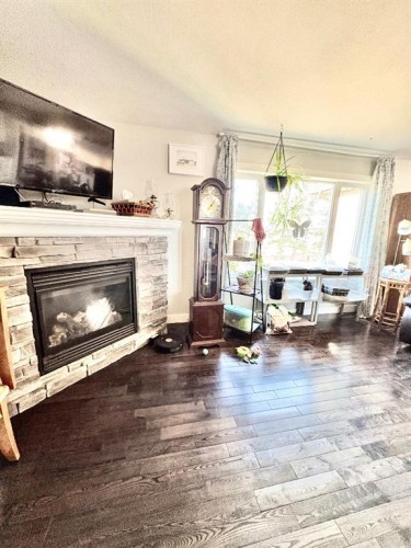 29305 Range Road 41, Oyen, AB - Indoor Photo Showing Living Room With Fireplace