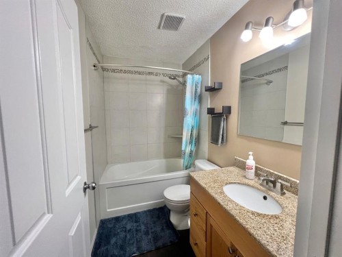 808 Birchwood Close, Drumheller, AB - Indoor Photo Showing Bathroom