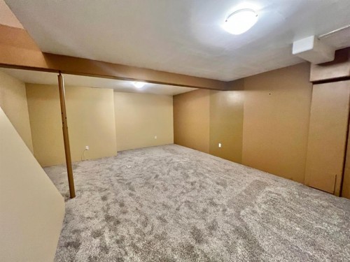 808 Birchwood Close, Drumheller, AB - Indoor Photo Showing Basement