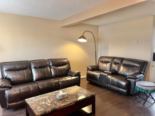 808 Birchwood Close, Drumheller, AB - Indoor Photo Showing Living Room