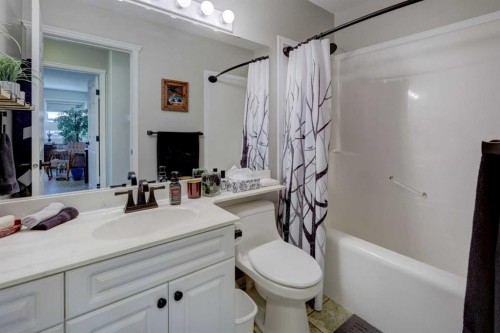 24 Willow Point, Drumheller, AB - Indoor Photo Showing Bathroom
