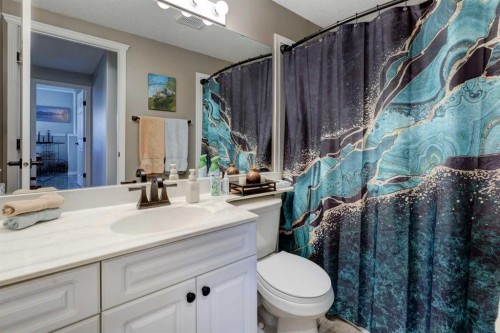 24 Willow Point, Drumheller, AB - Indoor Photo Showing Bathroom