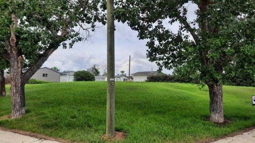 112 Railway Avenue South, Morrin, AB 