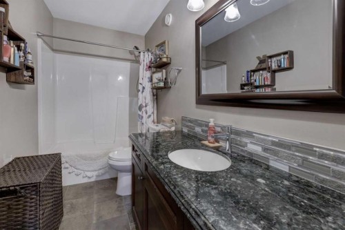 12 Willow Point, Drumheller, AB - Indoor Photo Showing Bathroom