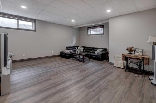 12 Willow Point, Drumheller, AB - Indoor Photo Showing Basement