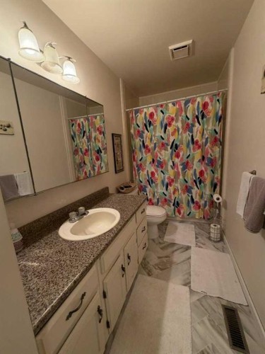 3917 52 Street, Taber, AB - Indoor Photo Showing Bathroom