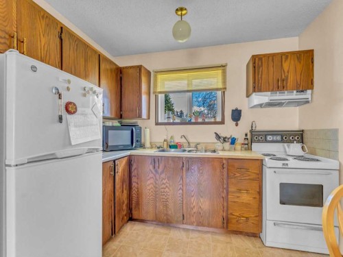 437 3 Avenue, Bassano, AB - Indoor Photo Showing Kitchen With Double Sink