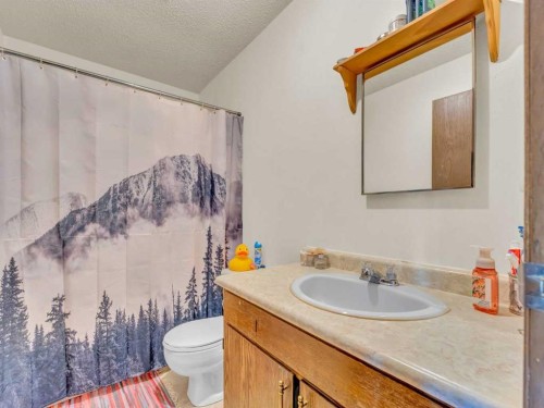 437 3 Avenue, Bassano, AB - Indoor Photo Showing Bathroom