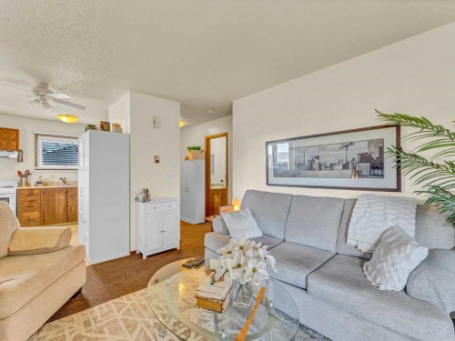 437 3 Avenue, Bassano, AB - Indoor Photo Showing Living Room
