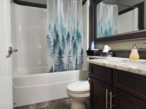 102 9 Street, Drumheller, AB - Indoor Photo Showing Bathroom