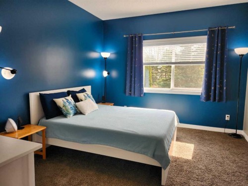 102 9 Street, Drumheller, AB - Indoor Photo Showing Bedroom