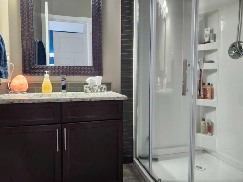 102 9 Street, Drumheller, AB - Indoor Photo Showing Bathroom