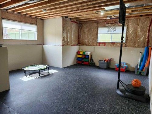 102 9 Street, Drumheller, AB - Indoor Photo Showing Basement