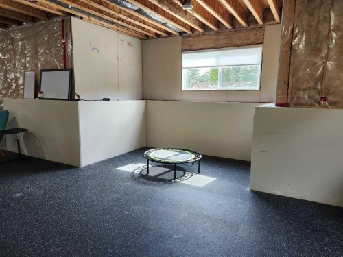 102 9 Street, Drumheller, AB - Indoor Photo Showing Basement
