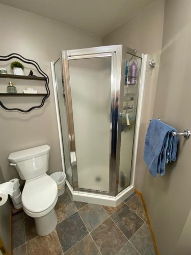 110 5Th Avenue East, Hanna, AB - Indoor Photo Showing Bathroom
