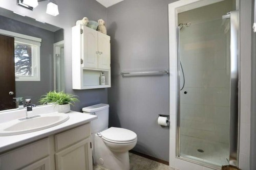 160 Ingram Park Drive, Brooks, AB - Indoor Photo Showing Bathroom