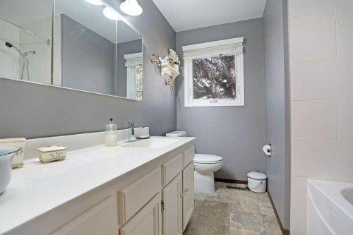 160 Ingram Park Drive, Brooks, AB - Indoor Photo Showing Bathroom