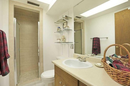 160 Ingram Park Drive, Brooks, AB - Indoor Photo Showing Bathroom