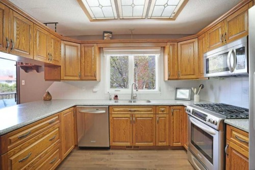 160 Ingram Park Drive, Brooks, AB - Indoor Photo Showing Kitchen With Double Sink